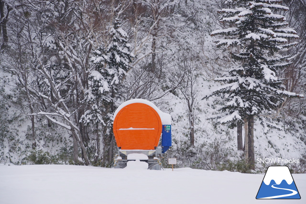 2018-2019 winter ☆パウダースノーで初滑り☆ 北海道札幌市・札幌国際スキー場